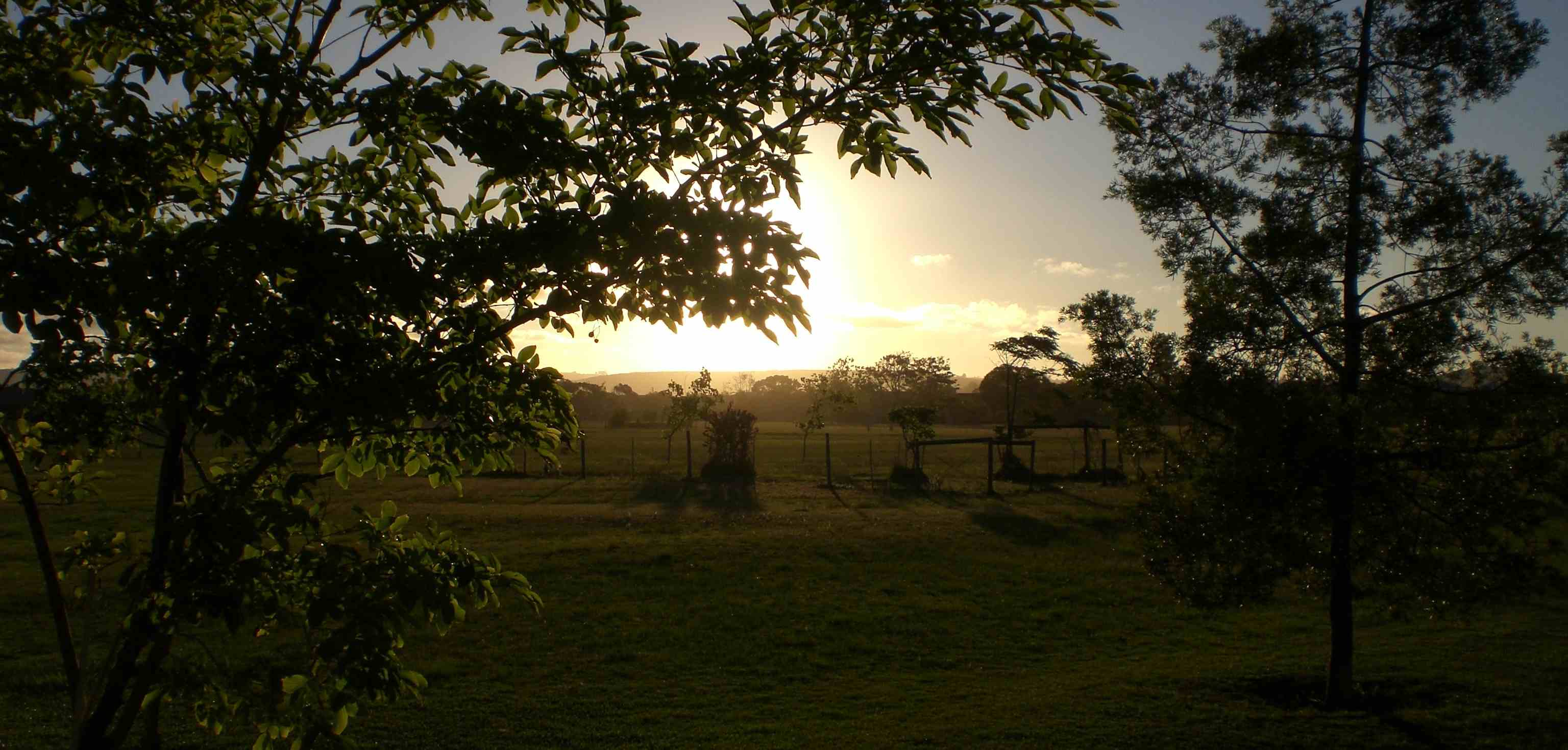 Sunset over the game park, seen through trees